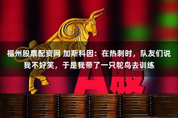 福州股票配资网 加斯科因：在热刺时，队友们说我不好笑，于是我带了一只鸵鸟去训练