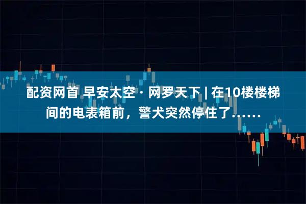 配资网首 早安太空 · 网罗天下 | 在10楼楼梯间的电表箱前，警犬突然停住了……
